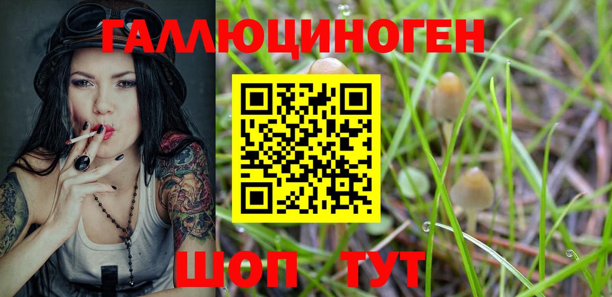 Галлюциногенные грибы ЛСД Киселёвск